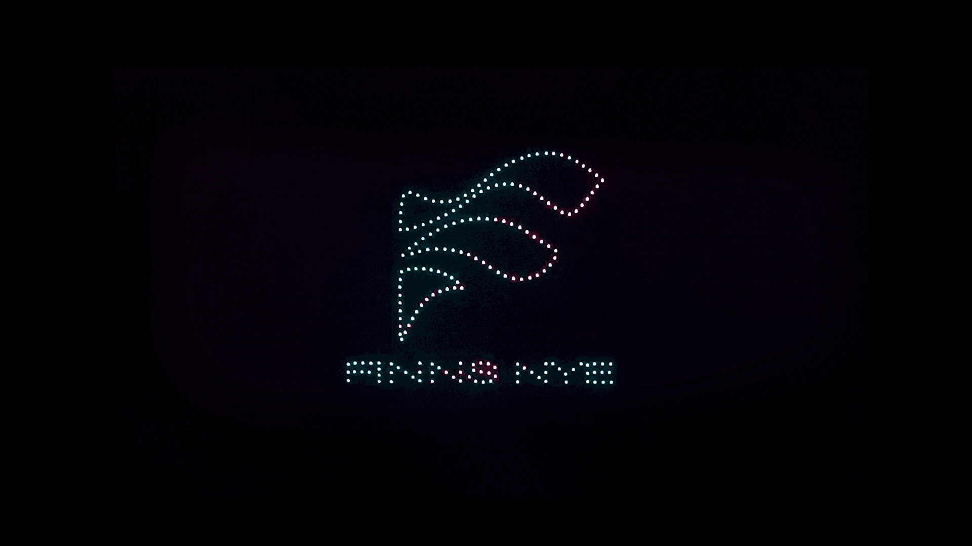 FINNS Logo